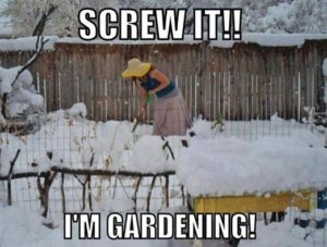 screw-it-im-gardening